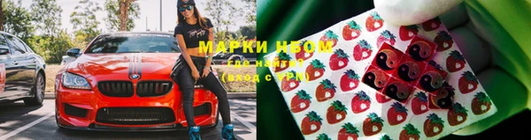 ГАЛЛЮЦИНОГЕННЫЕ ГРИБЫ Алзамай