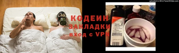 ГАЛЛЮЦИНОГЕННЫЕ ГРИБЫ Алзамай