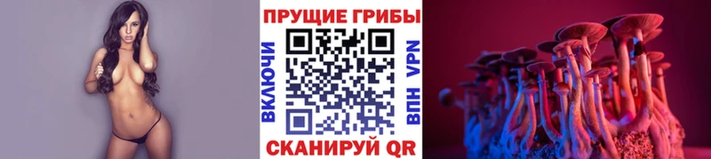 что такое наркотик Карачаевск Галлюциногенные грибы Cubensis